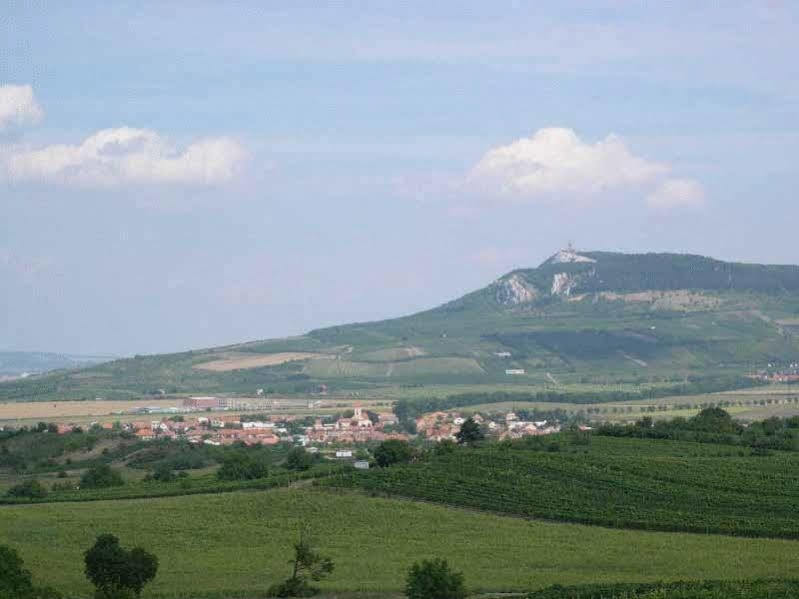 Penzion Barina Dolní Dunajovice Buitenkant foto